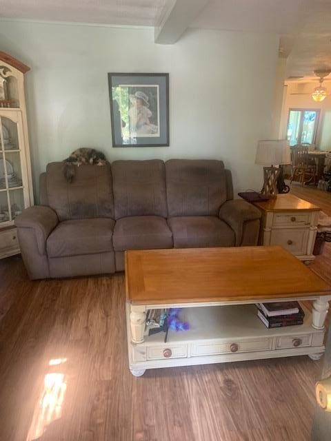 living room with beam ceiling, light hardwood / wood-style floors, and ceiling fan