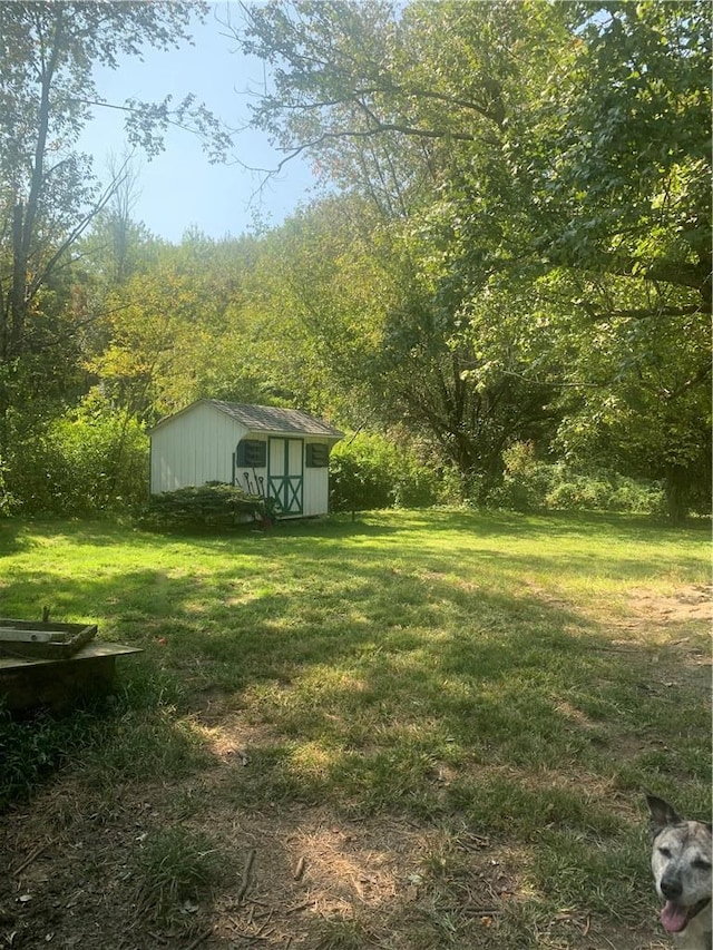 view of yard featuring a storage unit