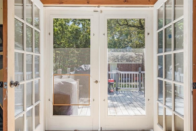 entryway featuring french doors and a healthy amount of sunlight