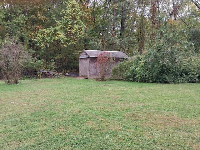 view of yard featuring a storage shed