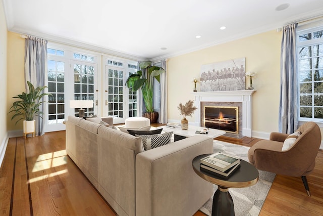 living area featuring baseboards, crown molding, a premium fireplace, and wood finished floors