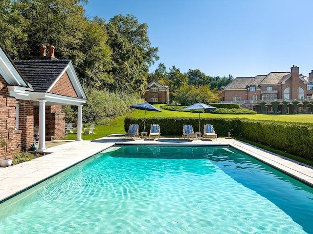 view of pool with a patio area