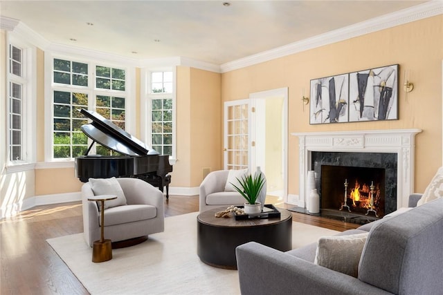 778 Sleepy Hollow Rd, Briarcliff Manor, NY 10510 - living room featuring wood finished floors, a premium fireplace, and ornamental molding
