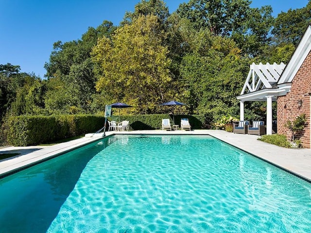 778 Sleepy Hollow Rd, Briarcliff Manor, NY 10510 - outdoor pool with a patio area and outdoor lounge area