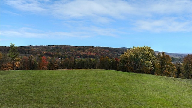 view of mountain feature featuring a wooded view