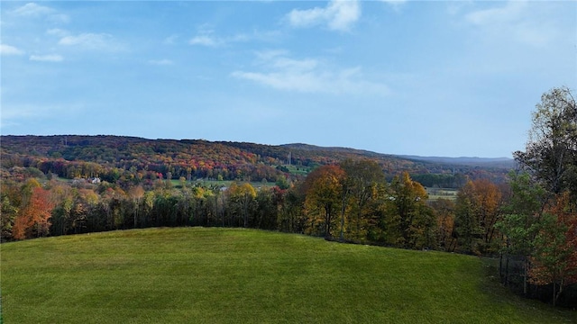 property view of mountains featuring a forest view