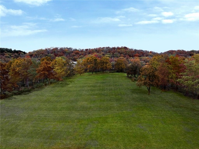 view of yard with a rural view