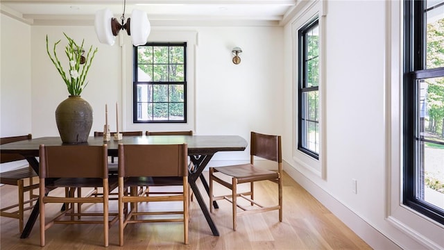 dining area featuring a chandelier, light hardwood / wood-style floors, and plenty of natural light