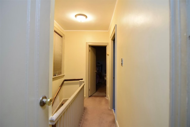 corridor featuring light colored carpet and ornamental molding