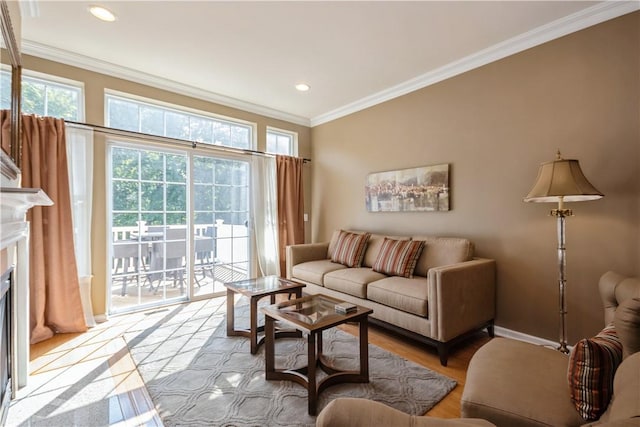 living room featuring crown molding