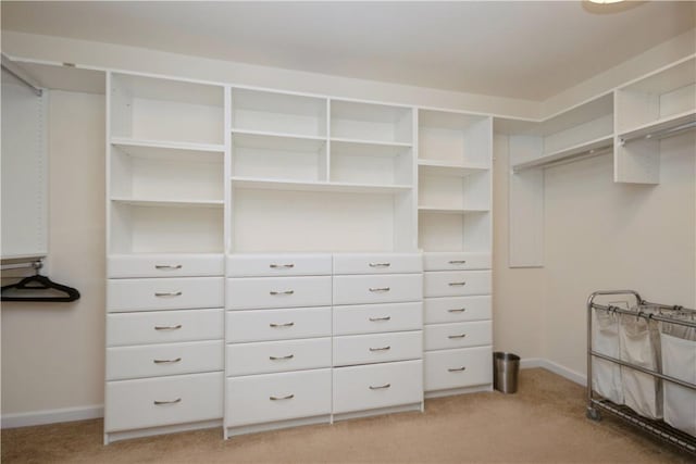 spacious closet featuring light carpet