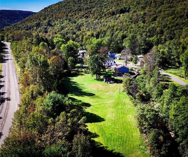 drone / aerial view with a mountain view