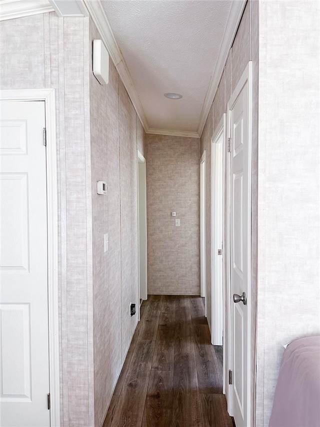 hallway featuring dark wood-type flooring, a textured ceiling, and ornamental molding