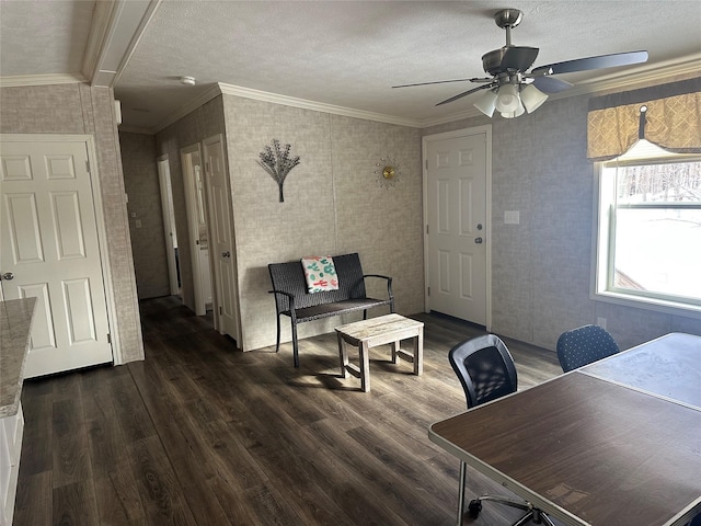 home office featuring crown molding, dark hardwood / wood-style flooring, and ceiling fan