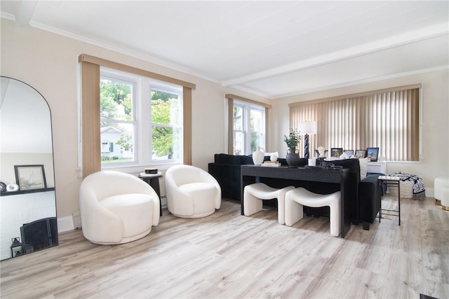 living room featuring ornamental molding, a fireplace, and light hardwood / wood-style flooring