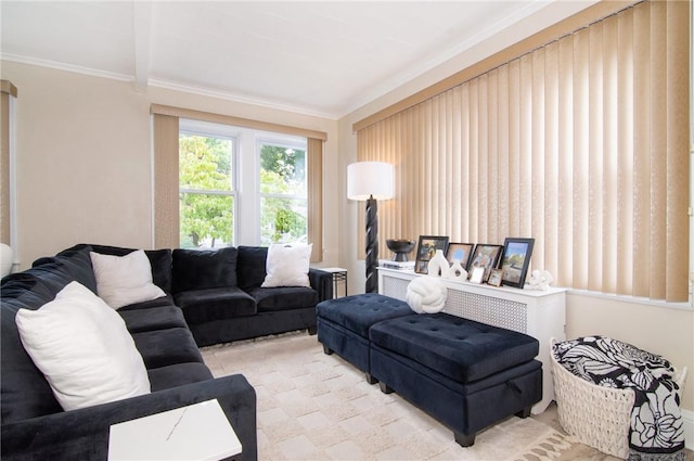 living room with crown molding