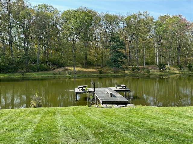 259 Woodstock Rd, Millbrook, NY 12545 - photo 6