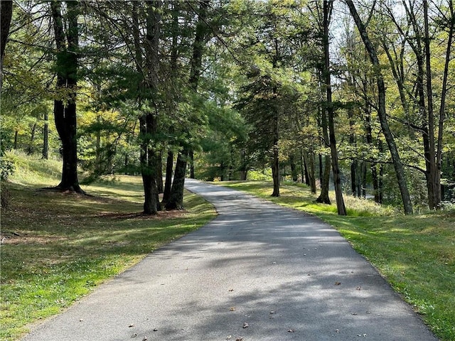 view of road