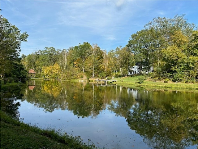 view of water feature