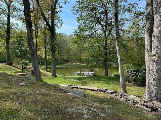 259 Woodstock Rd, Millbrook, NY 12545 - photo 40
