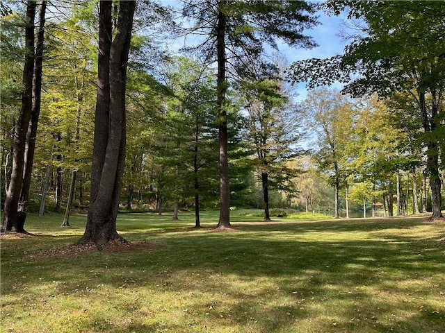 259 Woodstock Rd, Millbrook, NY 12545 - photo 41