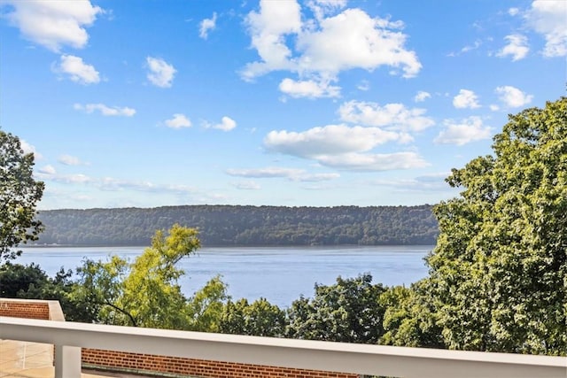 2575 Palisade Ave Unit 2G, Bronx, NY 10463 - water view with a forest