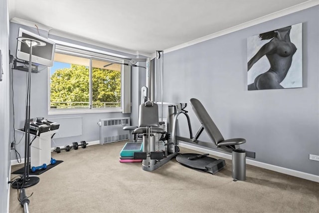 2575 Palisade Ave Unit 2G, Bronx, NY 10463 - exercise area with radiator heating unit, baseboards, ornamental molding, and carpet flooring