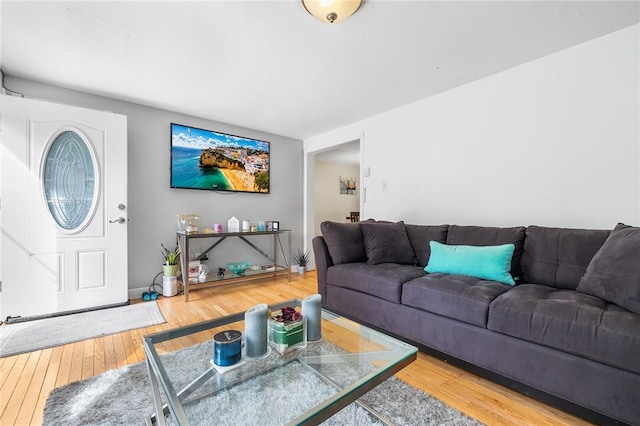 living room featuring hardwood / wood-style floors