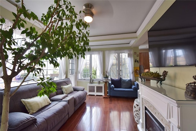 living room featuring a fireplace, radiator heating unit, dark hardwood / wood-style flooring, and ceiling fan