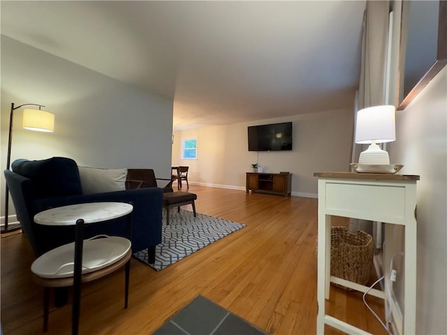 living room with hardwood / wood-style floors