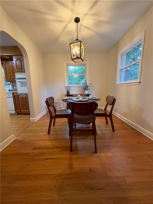 dining room featuring light hardwood / wood-style floors, an inviting chandelier, and a healthy amount of sunlight