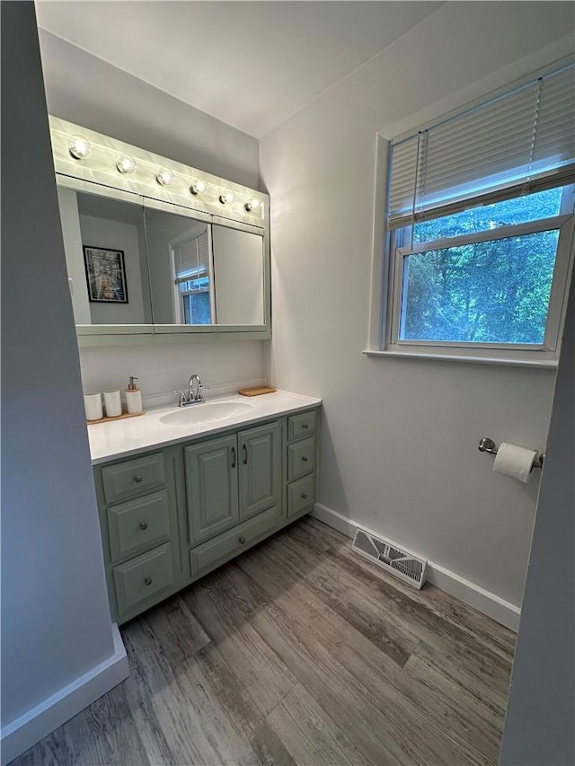 bathroom with vanity and wood-type flooring