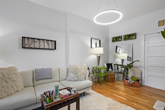 living room featuring wood-type flooring