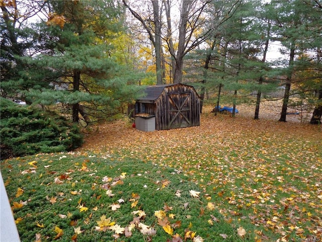 view of yard featuring a storage shed