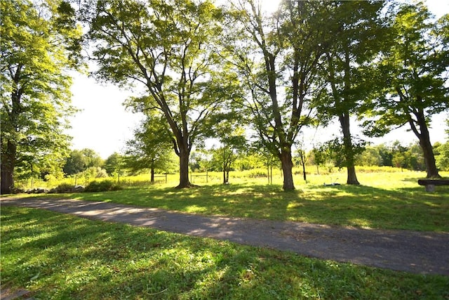 view of community with a lawn