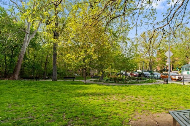 view of property's community featuring a yard