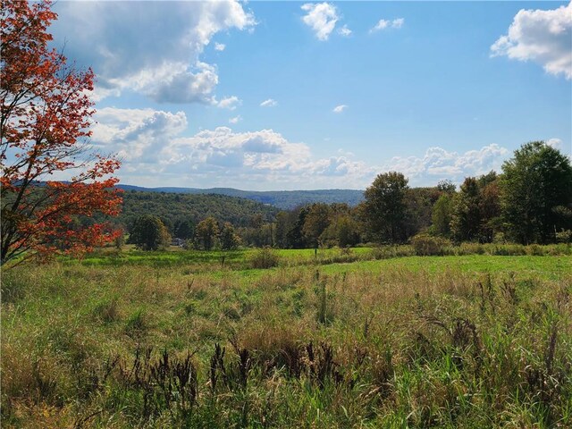 view of mountain feature featuring a rural view