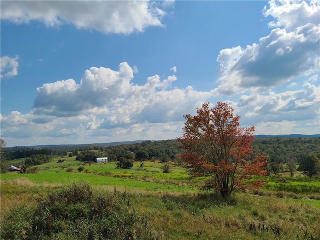 view of nature with a rural view