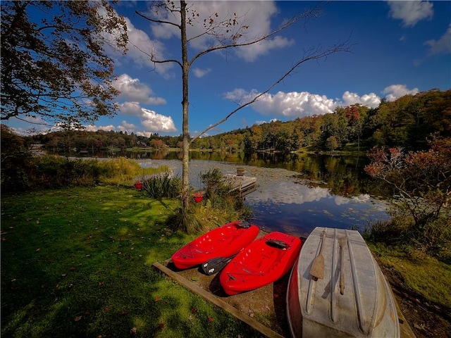 dock area featuring a lawn and a water view