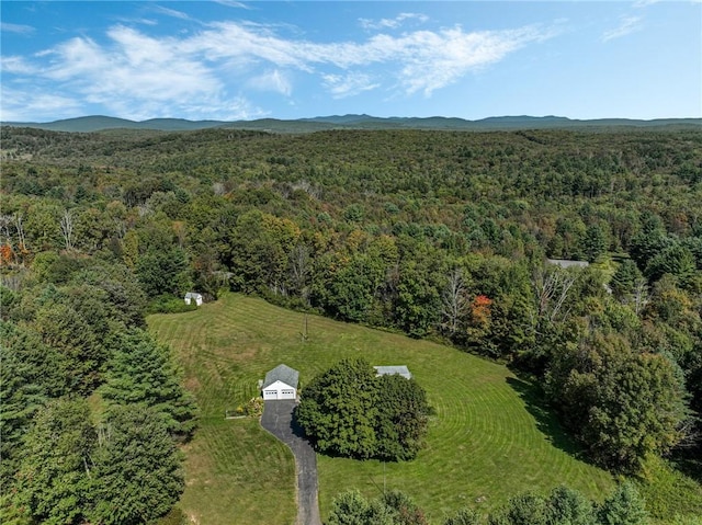 drone / aerial view with a mountain view