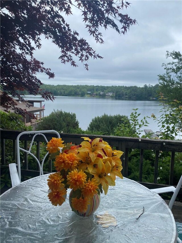 1192 State Route 52 Unit 18, Loch Sheldrake, NY 12759 - balcony with a water view