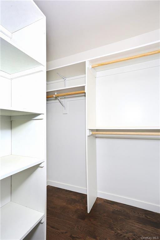 spacious closet with dark wood-type flooring