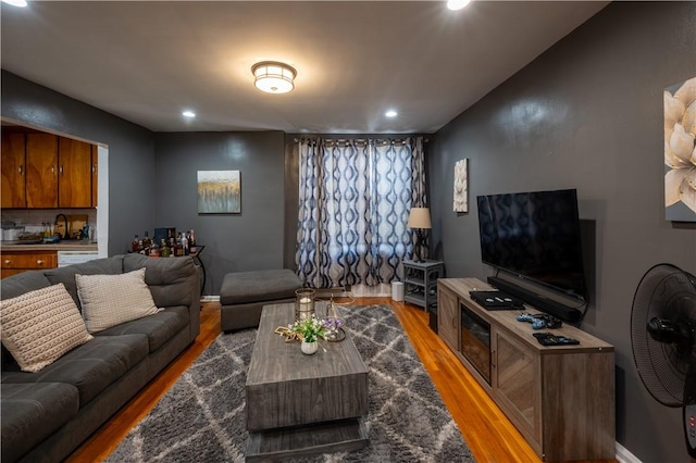 living room with wood-type flooring