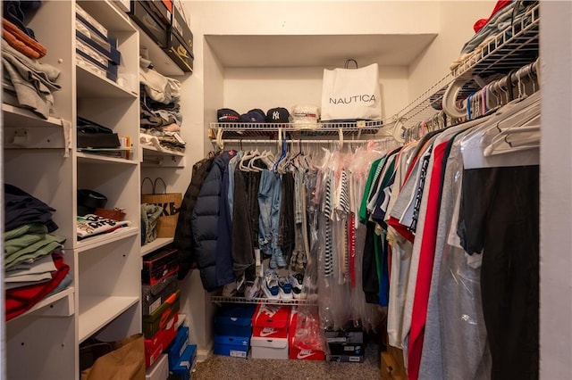 spacious closet with carpet