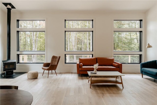 living area featuring light hardwood / wood-style floors, a wood stove, and a wealth of natural light