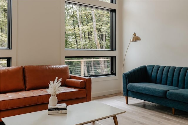 living room featuring a healthy amount of sunlight and light wood-type flooring