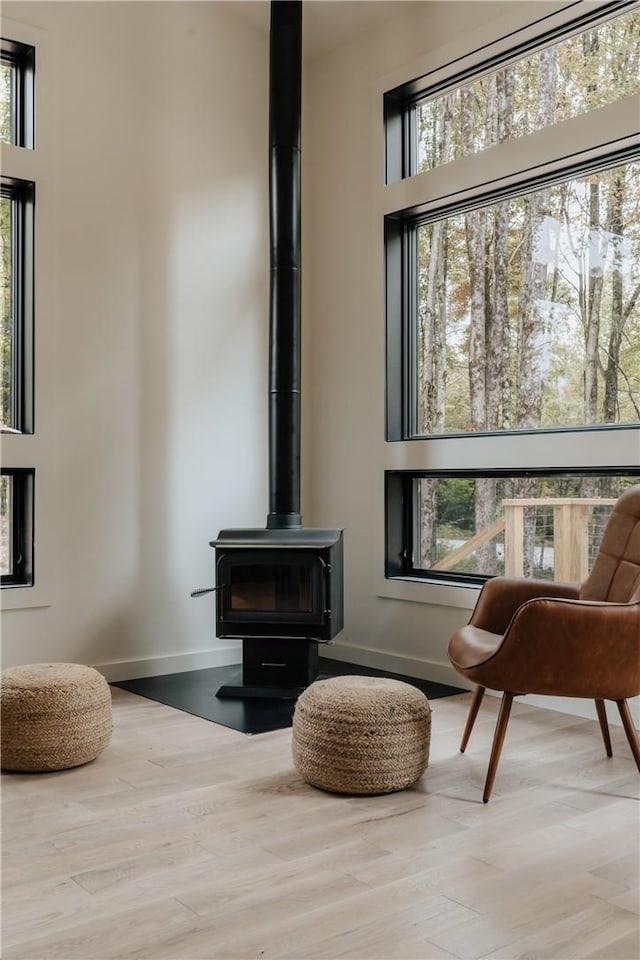 sitting room featuring light hardwood / wood-style flooring, a wood stove, and plenty of natural light