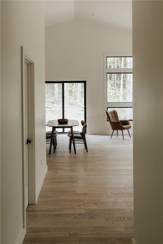 hall featuring hardwood / wood-style flooring and lofted ceiling