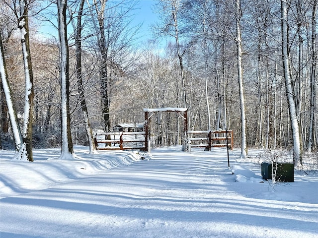 view of yard covered in snow