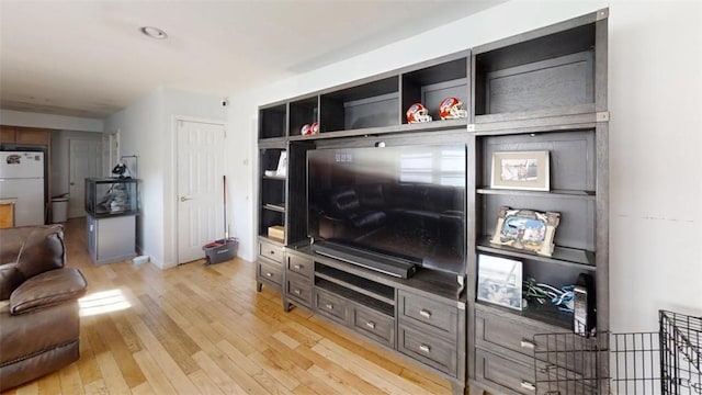 living room with light hardwood / wood-style flooring